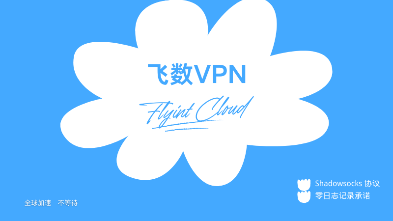 飞数 VPN